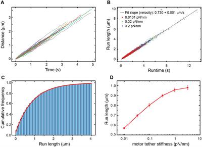 On the use of thermal forces to probe kinesin’s response to force